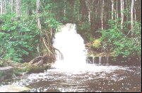 Cachoeira das Orquideas