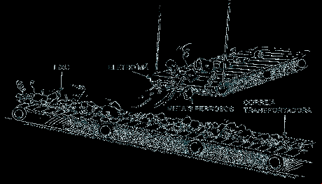 ima.gif (15489 bytes)